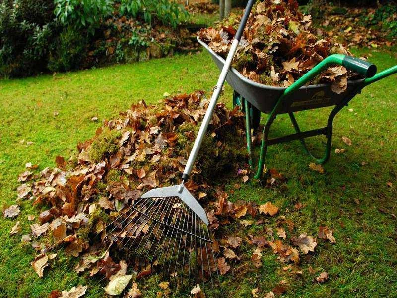 Clean India